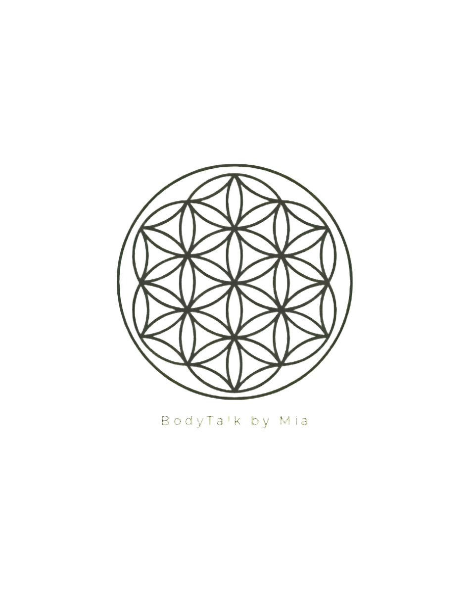 BodyTalk Energy logo